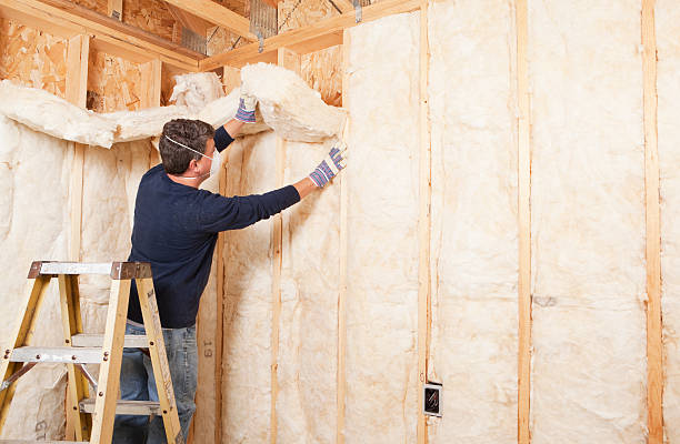 Best Radiant Barrier Insulation  in Newberry, FL